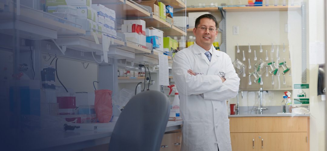 VMI Director Stephen Chan, MD, PhD receives a $6.2 million grant from the Wood Next Fund