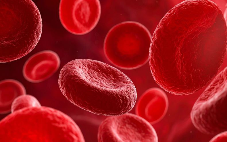 The Strength Behind the Spotlight: Leading the Way in Porphyria Care