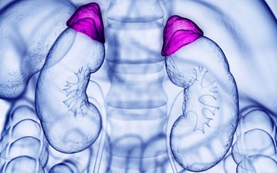 The Division of Endocrinology and Metabolism is Helping Shape Collaborative Adrenal Care at UPMC