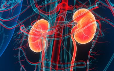Transforming Kidney Care
