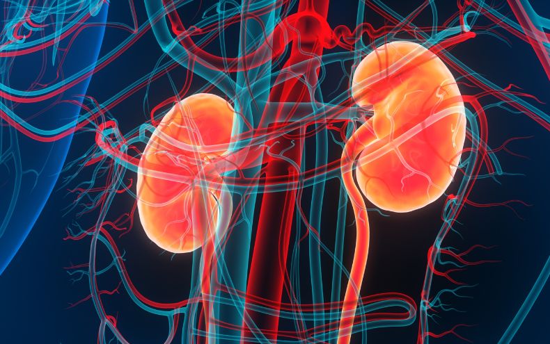 Transforming Kidney Care