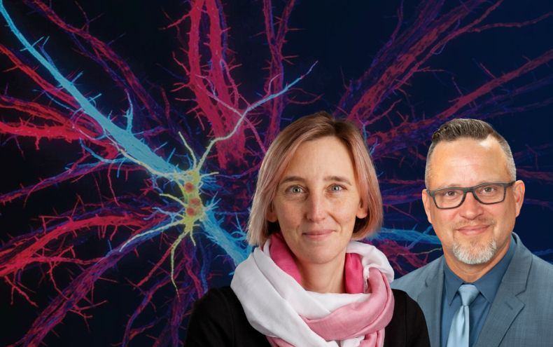 DOM Faculty Lead First-Ever JCI Insight Thematic Issue on Fibrosis
